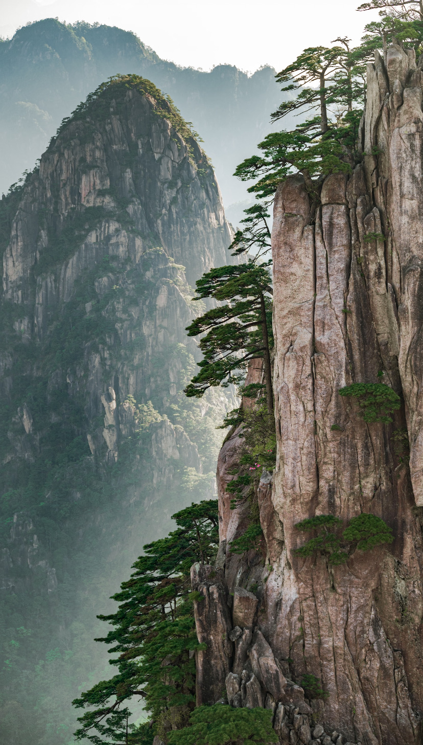 Sheer granite cliffs and pines wrapped in mist on Huangshan