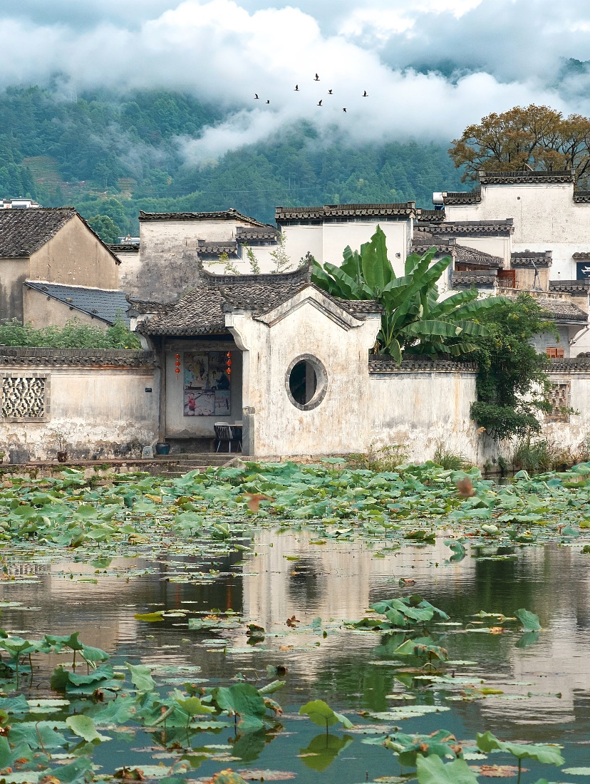 Whitewashed Huizhou houses reflected in Hongcun's lotus pond