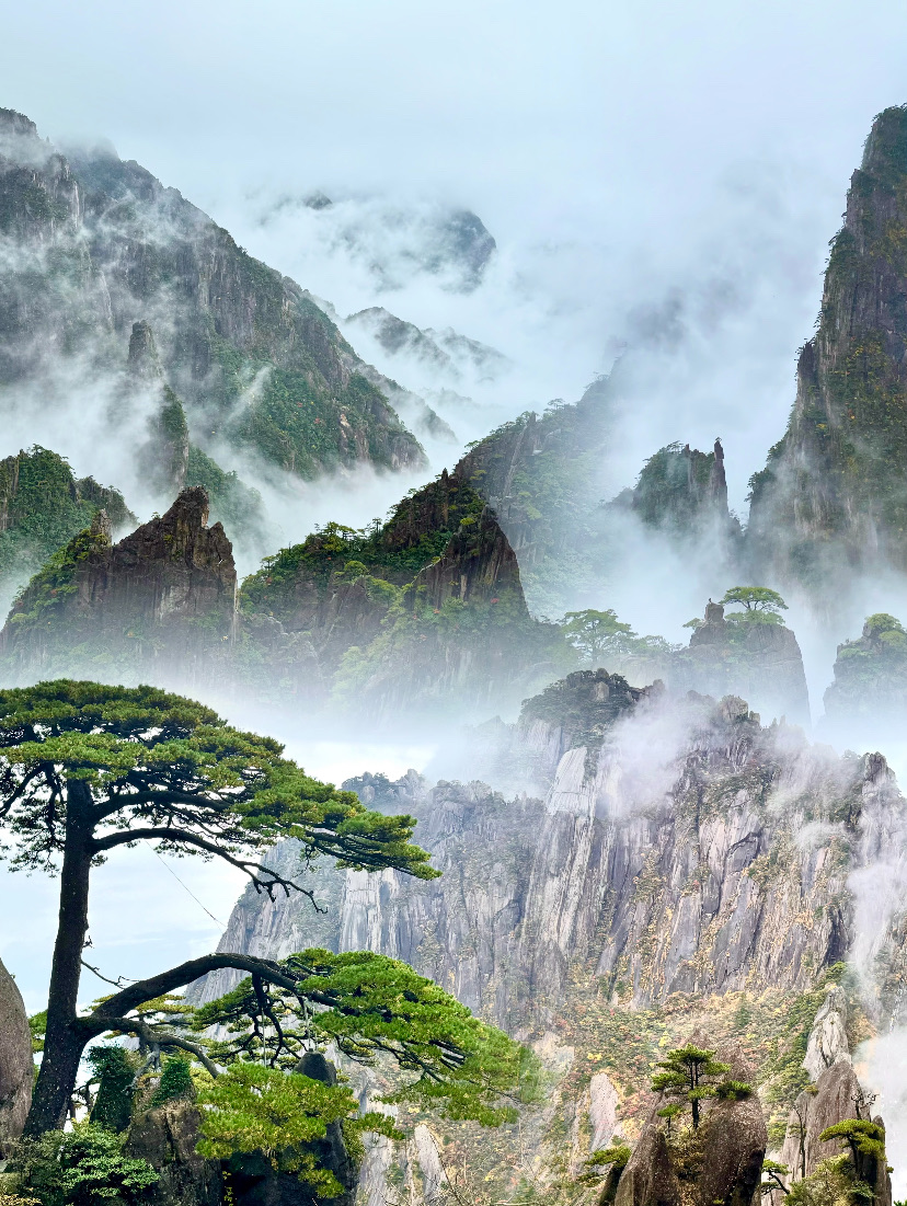 Misty granite peaks and wind-bent pines on Huangshan