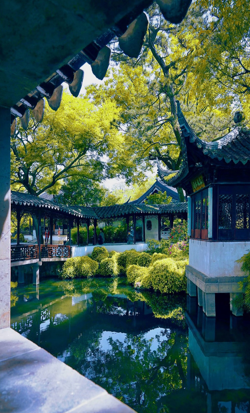 A classical Suzhou garden with a covered corridor and reflecting pond