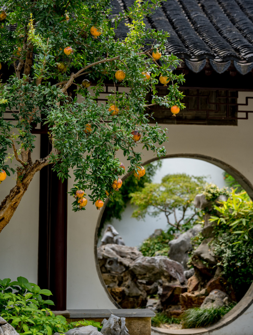 A moon gate framing a rockery and pomegranate tree in a Suzhou garden